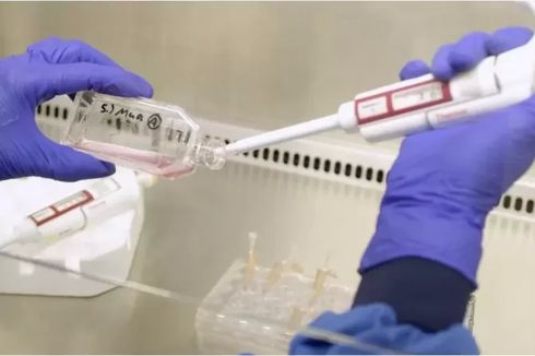 Pertama di Dunia, Darah Buatan Lab Diberikan Pada Manusia, Mulai Masuk Proses Uji Klinis