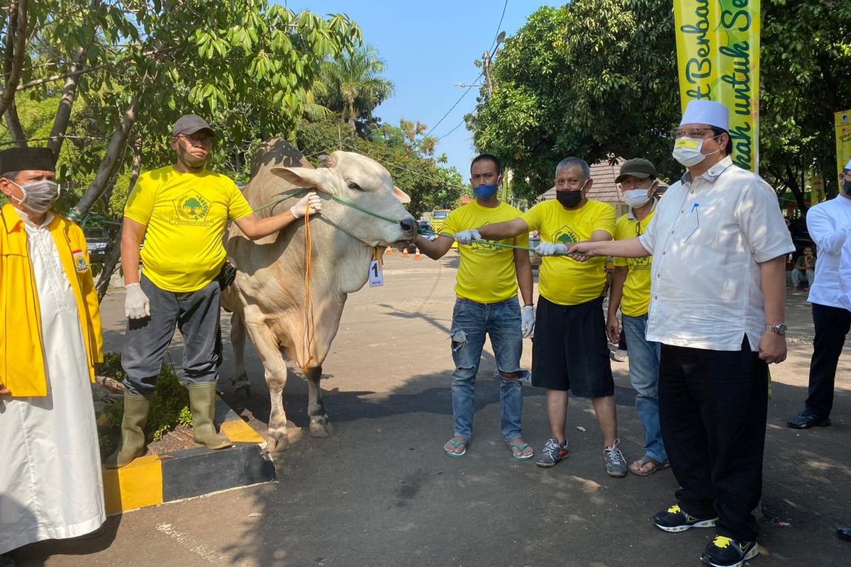 Para kader Golkar saat menyerahkan hewan kurban kepada panitia kurban DPP Partai Golkar, Jumat (31/07/2020).