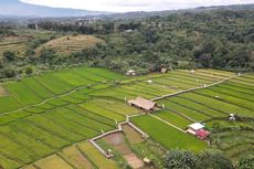 Tips Wisata ke Kampung Tematik Mulyaharja Bogor, Jangan Nyampah
