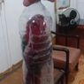 Nuri Ternate Dimasukkan ke Botol Air Mineral, Disita dari Penumpang Kapal di Ambon