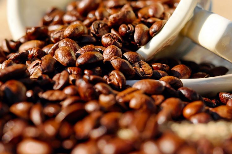 Ilustrasi kopi, biji kopi. 