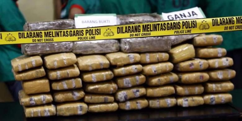 Barang bukti Ganja  seberat 69,2 kg dan para tersangka dihadirkan saat konferensi pers pengungkapann kasus ganja jaringan Aceh periode Agustus 2013 di Mapolrestro Jakarta Barat, Senin (26/8/2013).