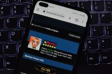 Pemilik BreachForums, Situs yang Digunakan Bjorka Sebar Data Ditangkap