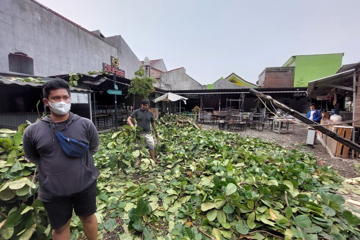 Puing-puing dari tumbangnya pohon ketapang di Food Yard, Cipondoh, Kota Tangerang, pada Senin (25/10/2021).