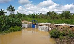 Optimasi Lahan Jadi Strategi Kementan Tingkatkan Produksi Pangan, Apa Itu?