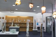 Museum Penis di Islandia, Koleksinya dari Penis Manusia Sampai Paus