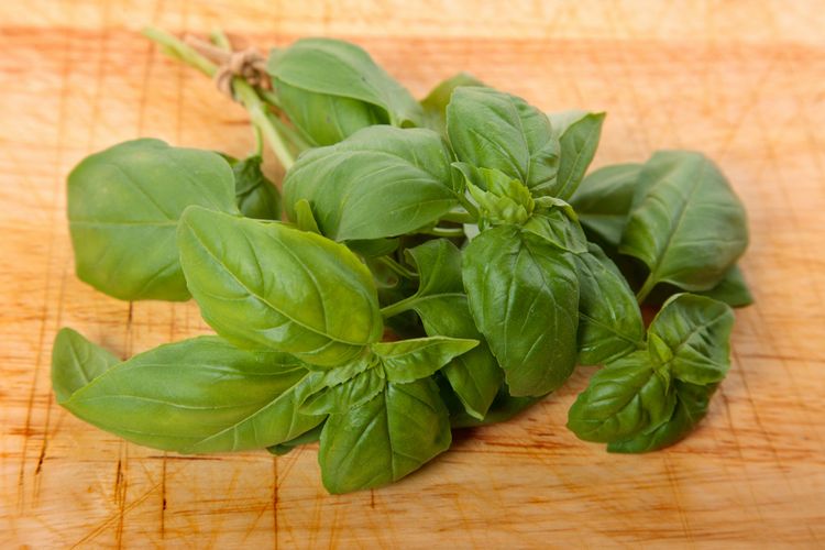 Daun kemangi bermanfaat untuk meredakan pusing dan flu.