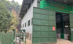 Operasikan PLTM Kanzy, Kini PLN Punya 16 Pembangkit Hijau di Jawa Timur