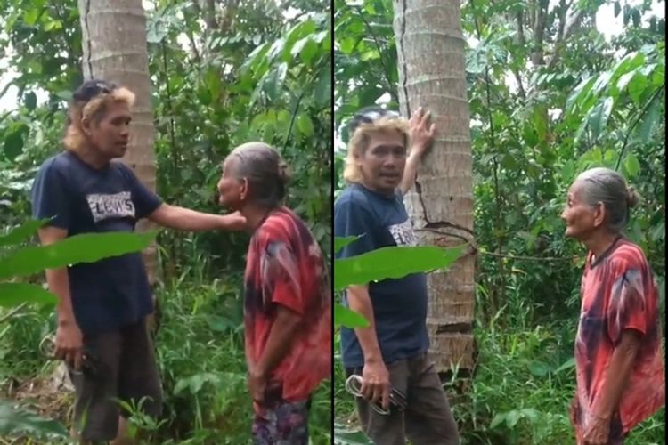 Tangkap layar video viral nenek Jaenab yang diduga curi kelapa dan terancam membayar ganti rugi Rp 6 juta.