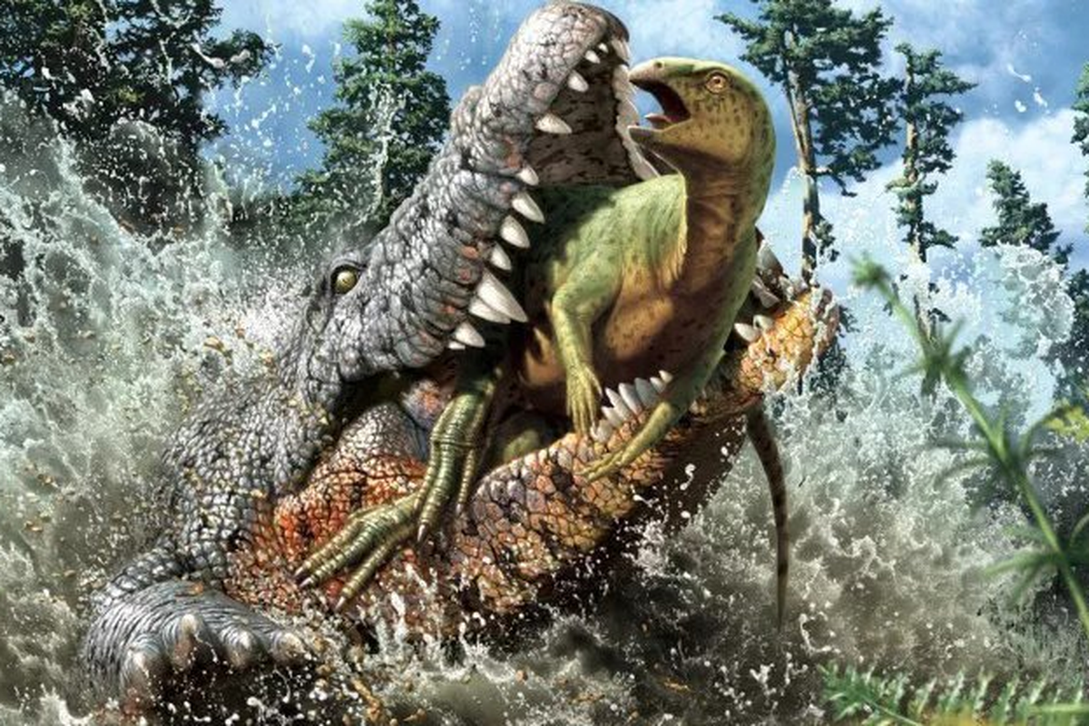 Ilustrasi buaya purba memangsa dinosaurus ornithopod. Fosil buaya purba ditemukan dengan sisa dinosaurus yang disantapnya.