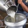 Wabah PMK Belum Usai, Ketua Satgas KPBS: Produksi Susu Turun 15 Ton