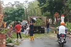 Cuaca Ekstrem di Gowa, Pohon Tumbang dan Pagar Rumah Jabatan Bupati Rubuh