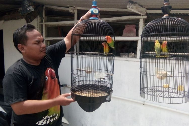 Anwar Sadat sedang menjemur burung lovebird di rumahnya, di Desa Sriwulan RT 05 RW 01, Kecamatan Sayung, Kabupaten Demak, Jateng, Sabtu (10/3/2018).