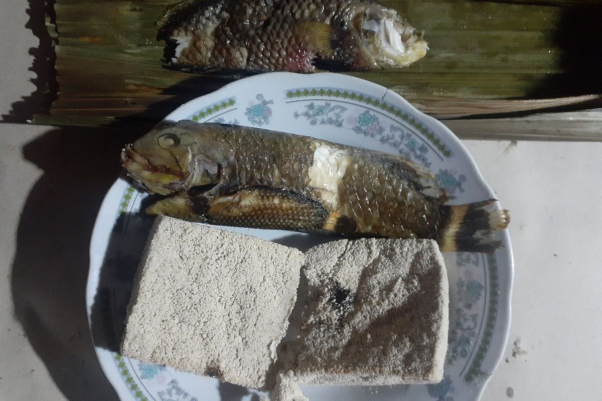 Nampak ikan pasir yang telah dibakar disajikan dengan sagu bakar untuk siap dimakan. Ikan Pasir ditemukan di Pulau-Pulau kecil di Kepulauan Moora, kawasan Teluk Cendrawasih, Nabire, Provinsi Papua Tengah.