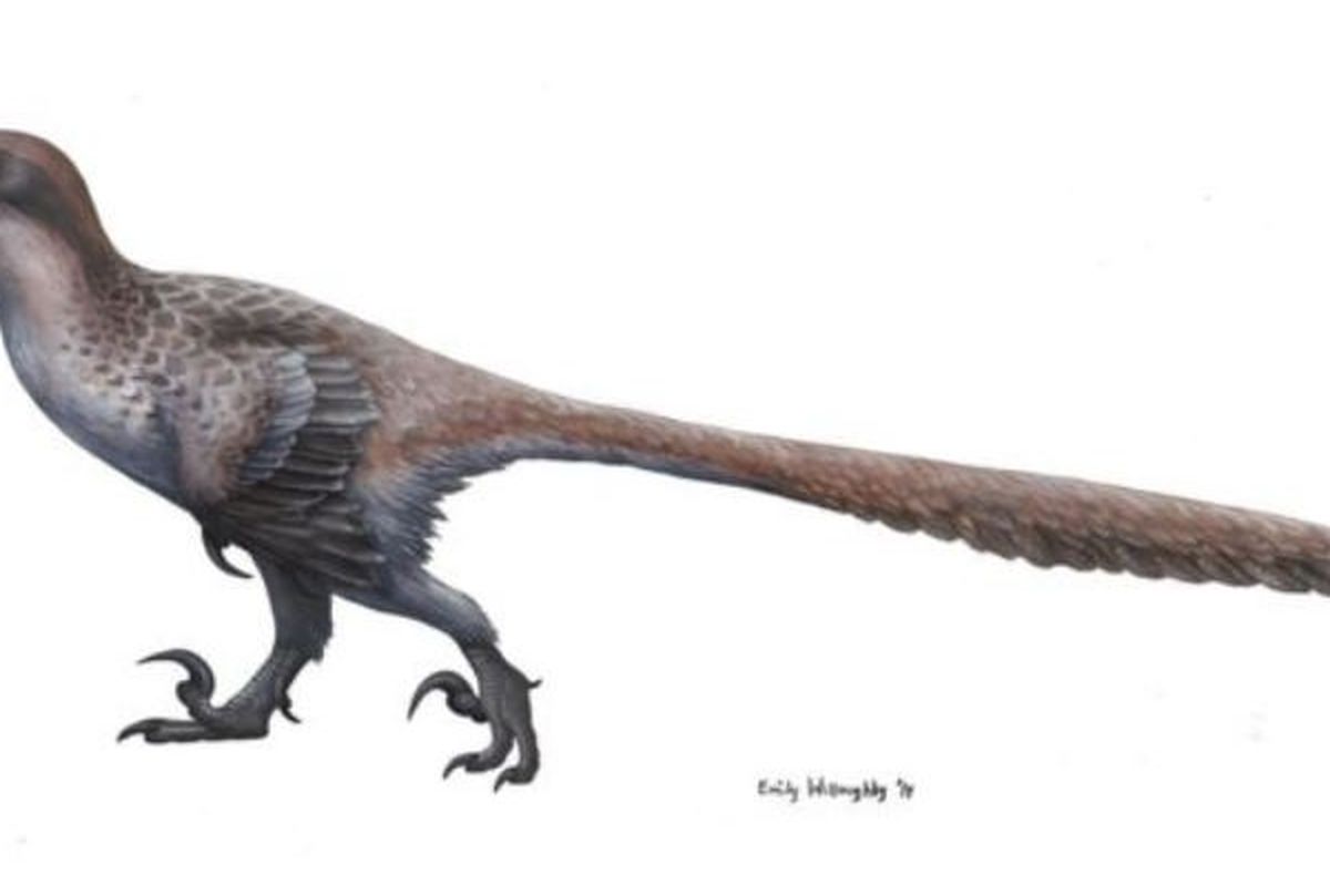 Ilustrasi Deinonychus berdasarkan temuan terbaru