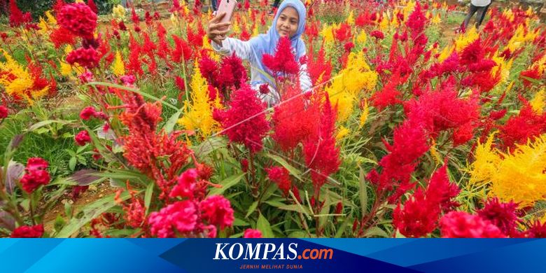 Aceh Utara PPKM Level 3, Tempat Wisata Tetap Buka - Vimarsana News