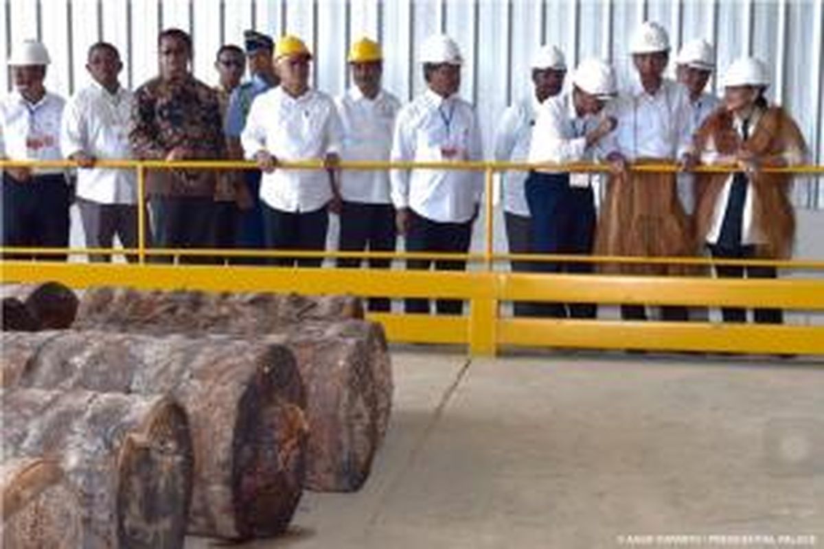 Presiden Joko Widodo meninjau pabrik pengolahan sagu milik Perhutani di Papua.