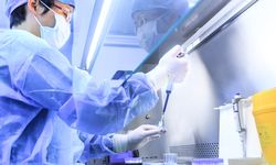 AI Janjikan Obat yang Lebih Murah, Cepat, dan Baik di Industri Farmasi