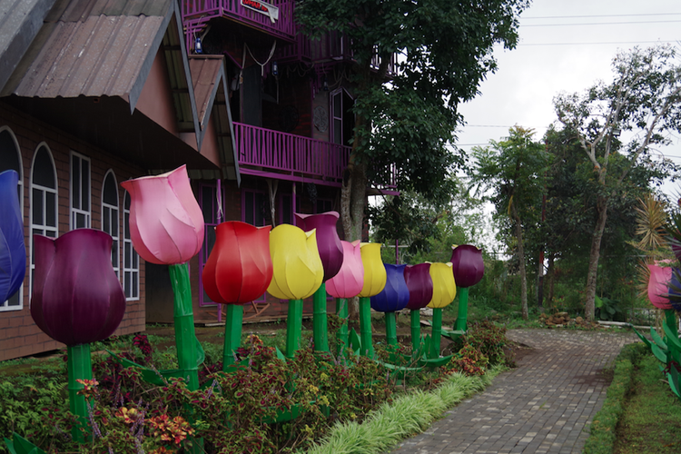 Taman Bunga Celosia