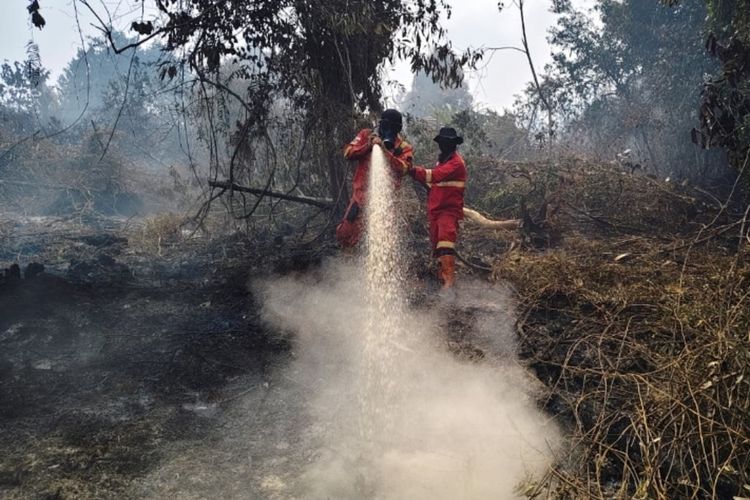 50 Hektar Gambut Terbakar di Inhu Riau, Api Belum Padam dan Berasap Tebal