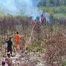 Terbakar, 20 Hektar Lahan di Natuna, Kepri