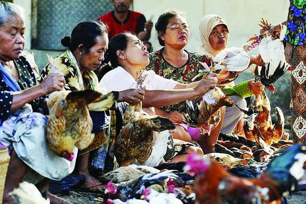 Pedagang ayam kampung menawarkan dagangannya di Pasar Jongke, Karanganyar, Jawa Tengah