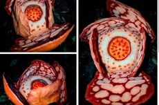 Jelang Libur Nataru, Satlantas Polres Bogor Kembali Kaji Penerapan Car Free Night di Jalur Puncak