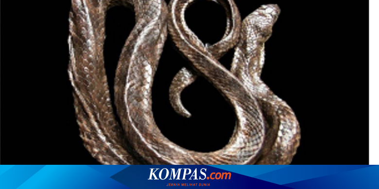 Temuan Ular Air Baru, Spesies Ular Endemik di Sulawesi Total Jadi 60