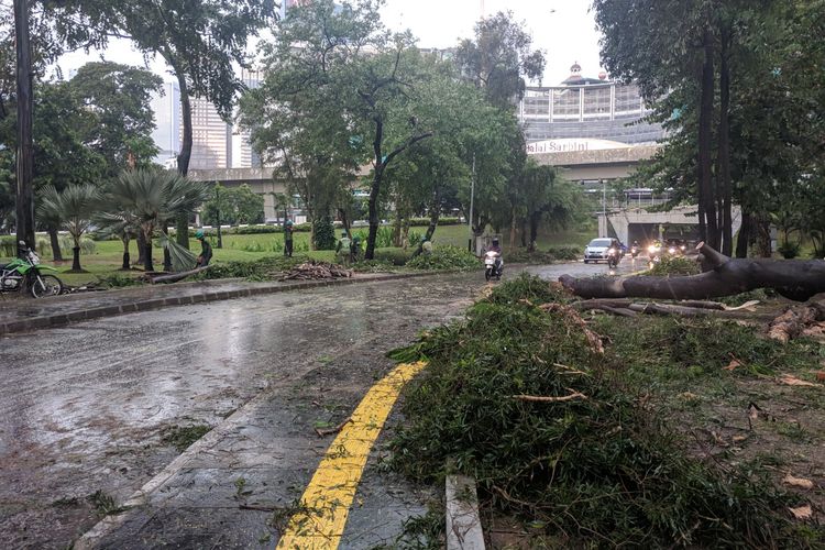 Pohon tumbang di Simpang Susun Semanggi, Jakarta, Selasa (2/4/2019).