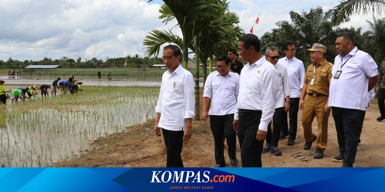 Jokowi says pumping assistance program helped boost rice yields