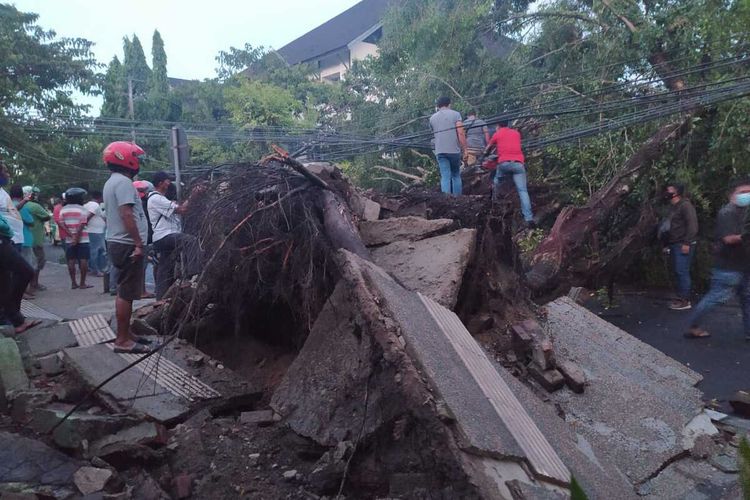 Sebuah pohon beringin berukuran besar yang berada di jalan dr Latumeten Ambon tumbang dan menutup badan jalan di kawasan tersebut, Sabtu (27/2/2021)