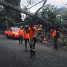 Dampak Angin Kencang di Kota Batu, Pohon Tumbang di 12 Titik dan Rusak Atap Lapak Pasar Pagi
