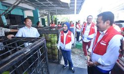 Dirut Pertamina Sebut Stok Pasokan LPG Subsidi 3 Kg di Sumsel Aman