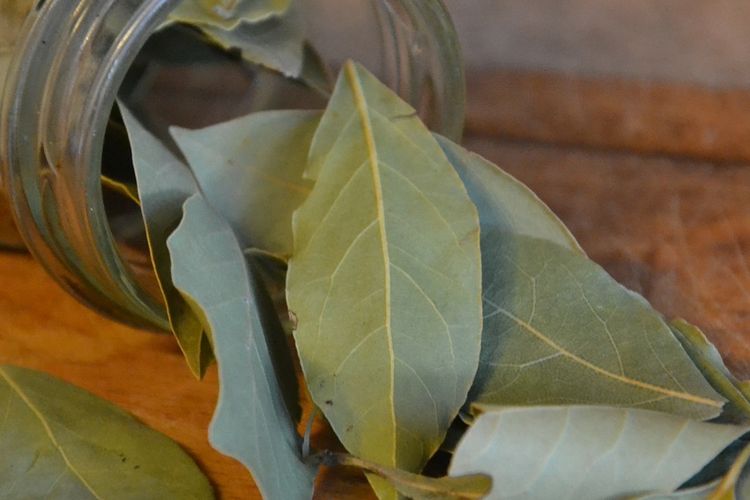 Ilustrasi manfaat daun salam. 