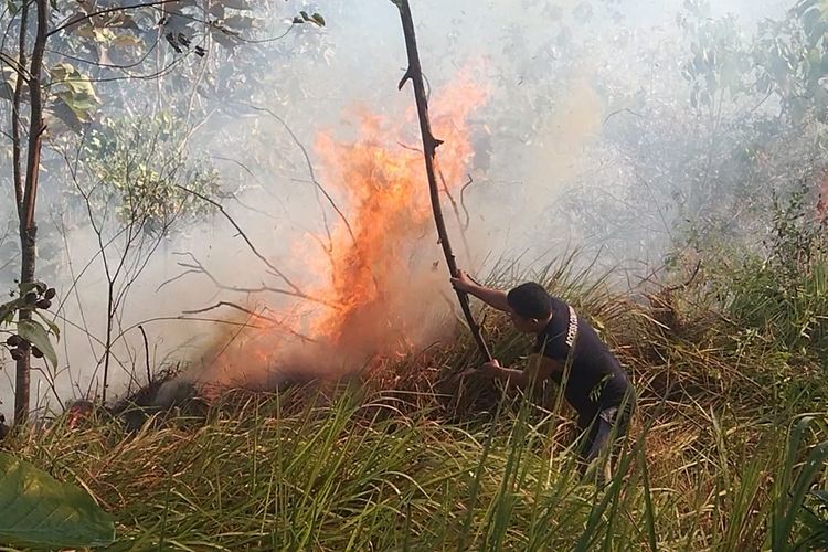 Kebakaran lahan seluas 3 hektar terjadi di dekat pemukiman warga di Kelurahan Bukit Wolio indah, Kecamatan Wolio, Kota Baubau, Sulawesi Tenggara, Selasa (29/8/2023) sore. Akibatnya warga menjadi panik dan berusaha memadam api dengan menggunakan alat seadannya.