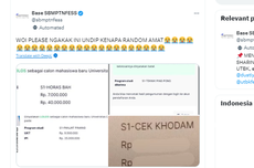 Laman Pengumuman UM Undip Disebut Sempat Diretas, Ini Penjelasan Kampus