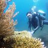 Bangsring Underwater Banyuwangi, Ekowisata Terumbu Karang Karya Nelayan Lokal