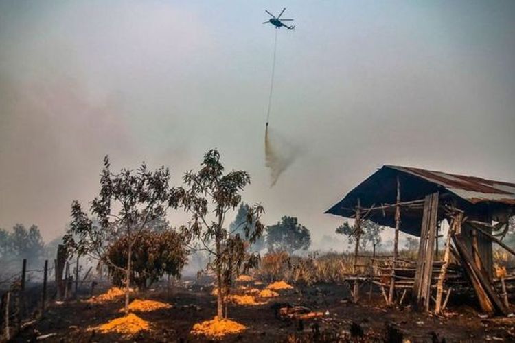 Sejumlah perusahaan kelapa sawit dan bubur kertas yang terlibat kebakaran hutan dan lahan (karhutla) dalam periode 2015-2018 lolos dari sanksi serius pemerintah, kendati telah terjadi kebakaran berulang di area lahan yang sama.