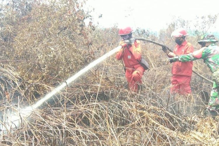 Petugas gabungan berjibaku memadamkan api karhutla di Desa Kuantan Babu, Kecamatan Rengat, Kabupaten Inhu, Riau, Senin (14/8/2023).