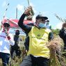 Targetkan Swasembada, Kementan Puji Produksi Bawang Putih di Batang