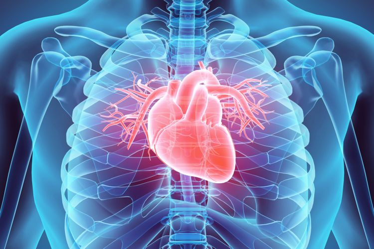 Jantung dapat membesar, yang disebut sebagai kardiomegali. Kondisi ini memperburuk fungsi jantung.