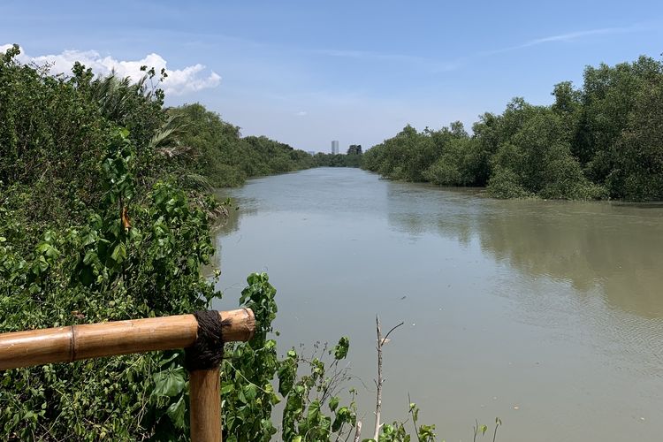 Ekowisata Mangrove Wonorejo Surabaya