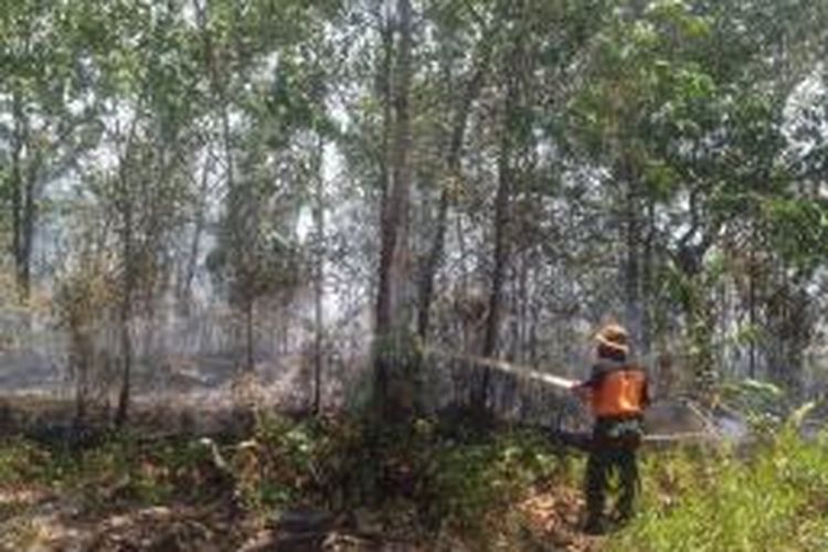 Petugas dari Tim Manggala Agni sedang berusaha memadamkan kebakaran lahan sekitar 1 hektar lebih di Kelurahan Tanjung Pinang, Kecamatan Pahandut, Palangkaraya, Kalimantan Tengah, Sabtu (13/9).