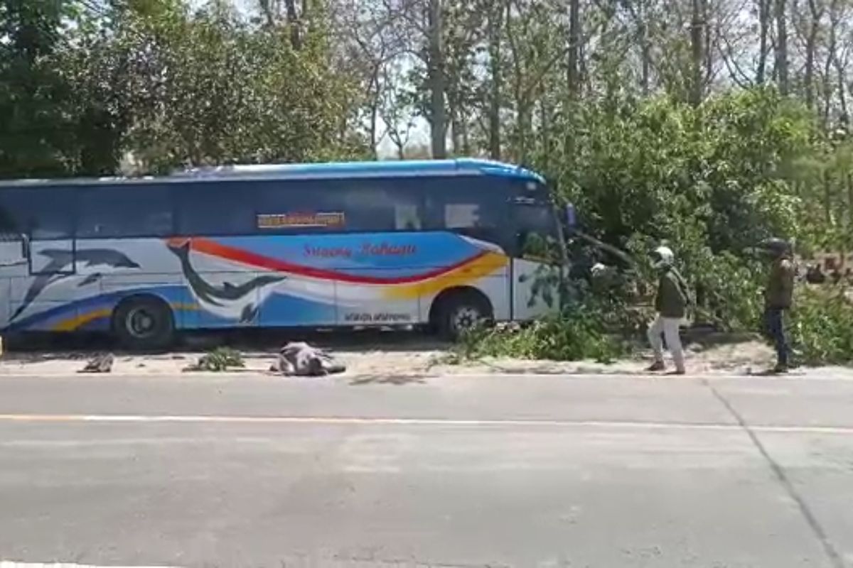  LAKALANTAS--Bus Sugeng Rahayu menabrak sebuah sepeda motor dalam kecelakaan di  ruas jalan nasional di Desa Pajaran, Kecamatan Saradan, Kabupaten Madiun, Jawa Timur, Selasa (31/8/2021) siang. 