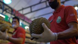 Mencicipi Durian di Kafe Durian Kekinian di Medan