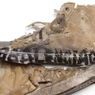 Sepatu Rusak Balenciaga: Ini Sosok Pencipta dan Kisah di Baliknya