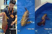 China Bikin Robot Ikan yang Bisa Berenang Sendiri, Bisa Jadi 'Mata-mata' Bawah Air?
