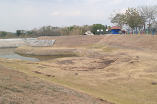 Dampak Kemarau, Petani Desa di Boyolali Tak Bisa Tanam Padi karena Sawah Kering