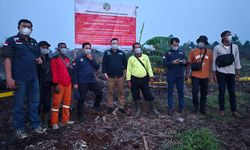 Kemenhut Segel Tiga Perusahaan akibat Kebakaran 159 Hektare Gambut di Riau