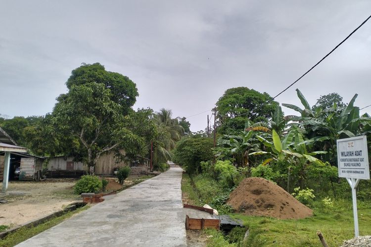 Kondisi jalan setapak di Pulau Enggano, Bengkulu (Poto: AMAN Bengkulu)